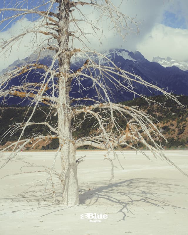A white, bare tree on a pale, dry plain, with snow-capped mountains under a cloudy sky. "Blue Monte" is written at the bottom.