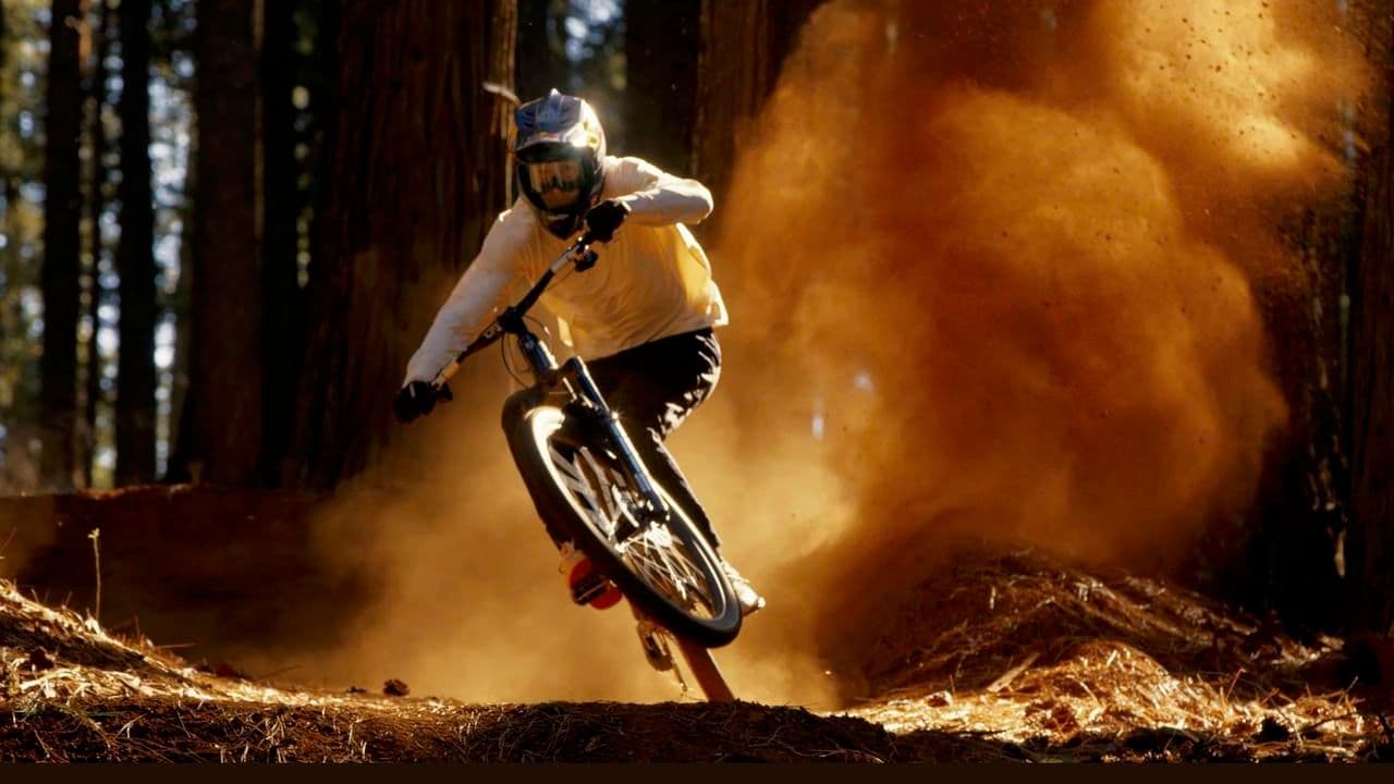 Mountain biker kicks up dust while cornering in a sunlit forest.