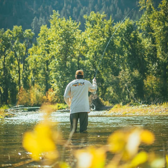 A person fly fishing in a river, seen from behind, surrounded by lush green trees.