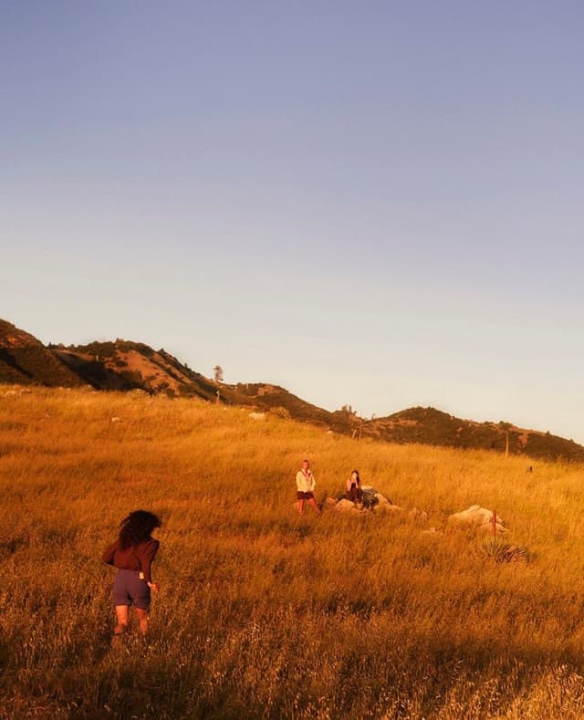 Three people in a sunlit field of tall golden grass with hills in the background.