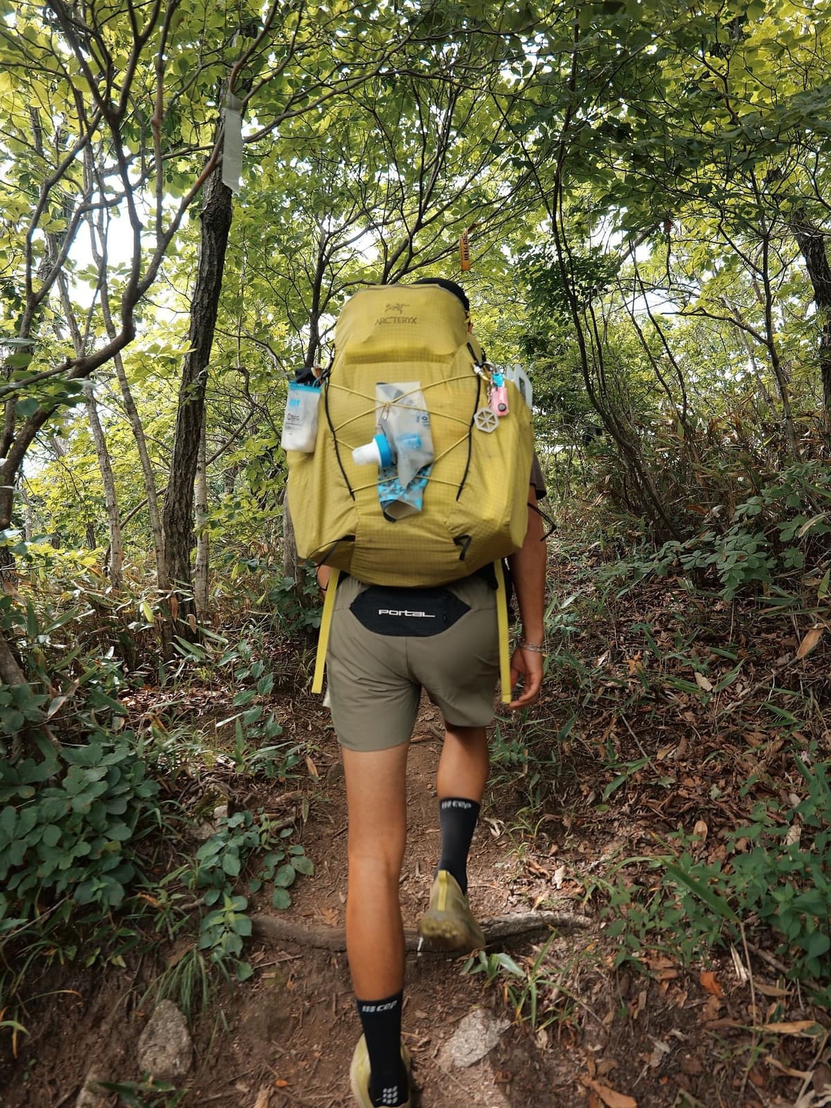 A person with a bright yellow backpack hikes up a dirt trail through green trees.
