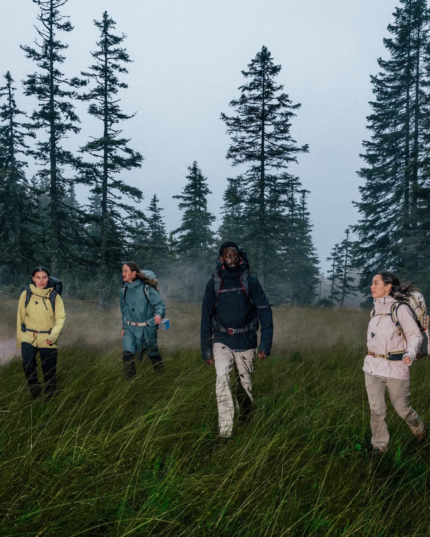 Four hikers with backpacks walking through tall grass in a foggy forest.