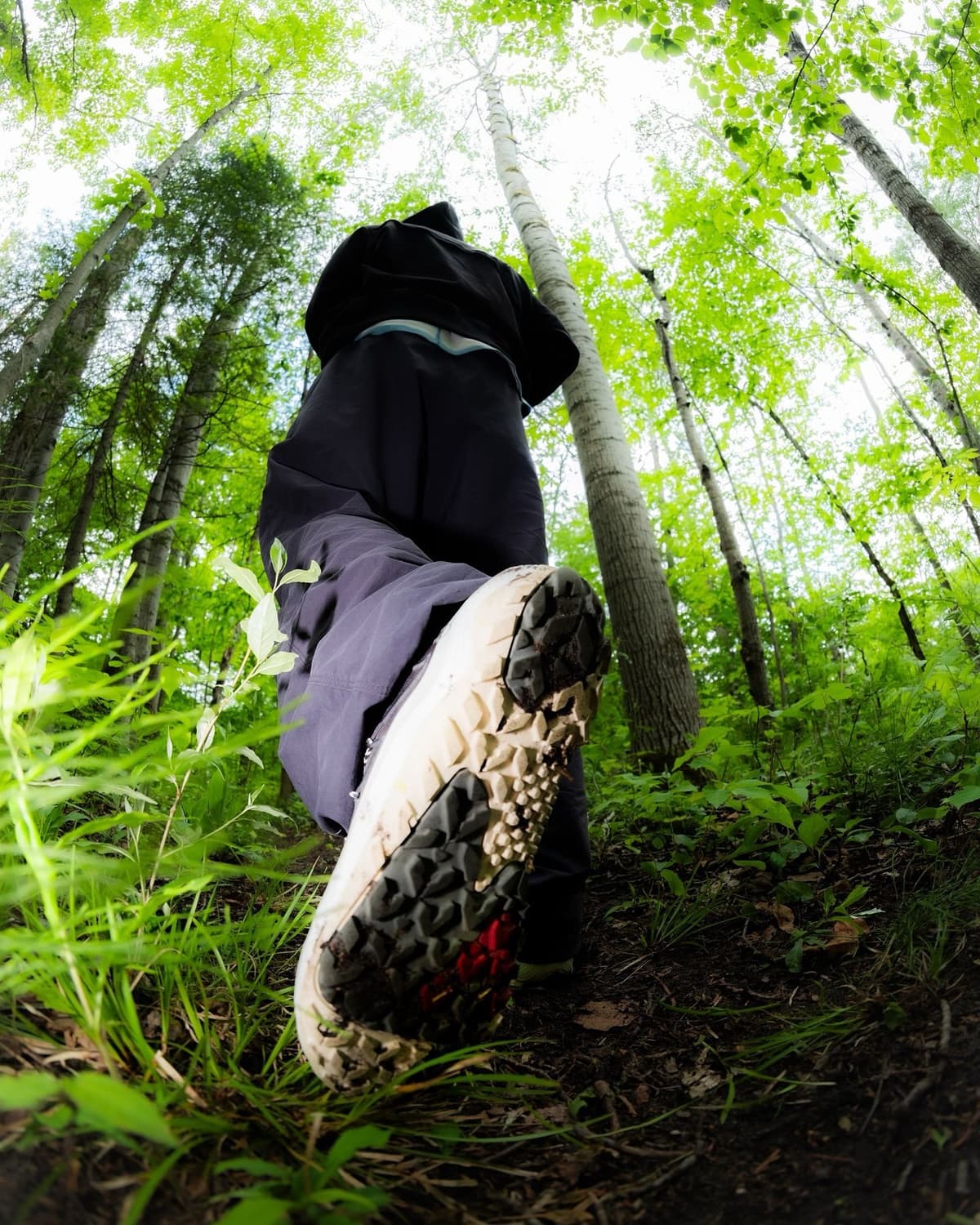 From a low angle, a person's hiking shoe steps onto a forest path, looking up at green trees.