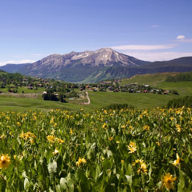 Yellow wildflowers in a green valley with a small village and a large rocky mountain under a blue sky.