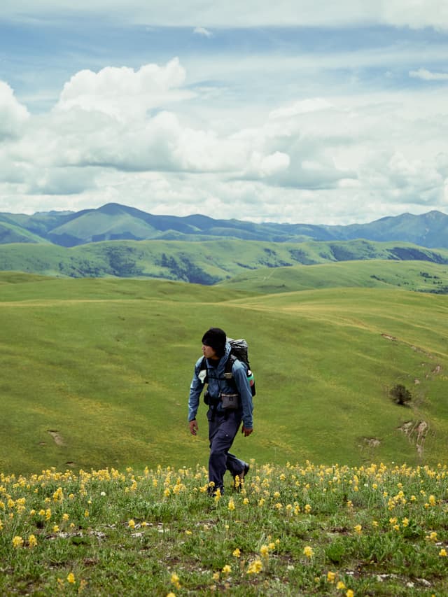 A hiker walks through a field of yellow wildflowers with rolling green hills under a cloudy sky.