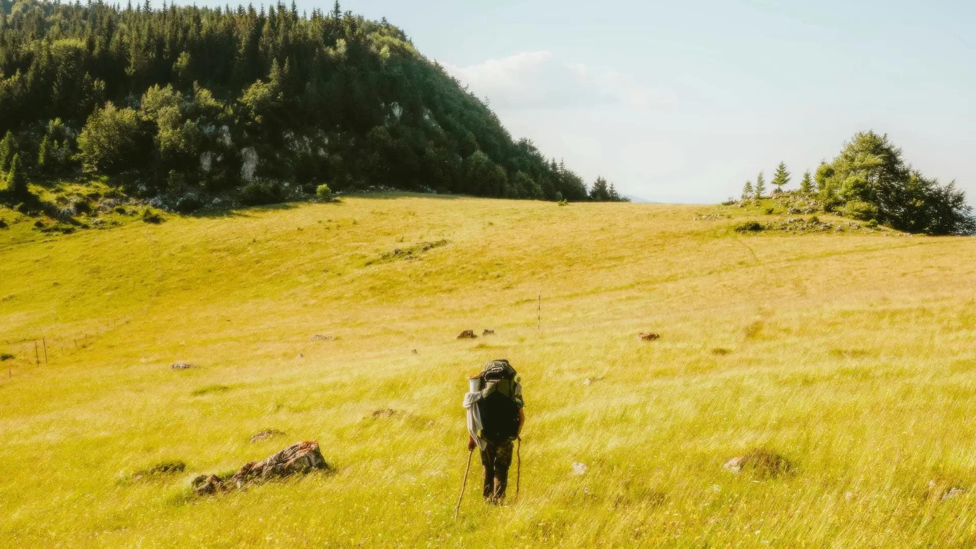 A person with a backpack and trekking poles hikes through a sunny, grassy mountain meadow.