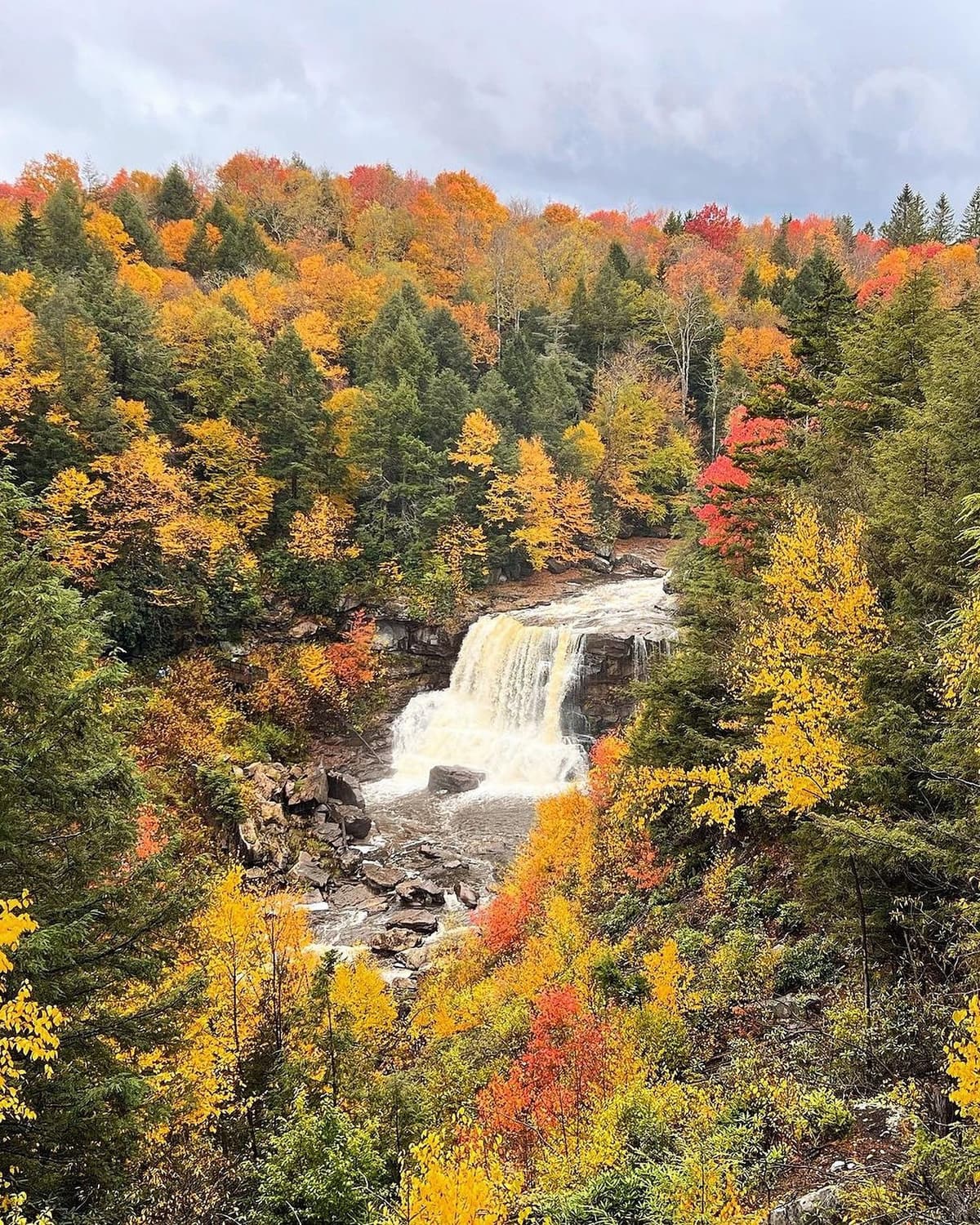 A waterfall cascades through a forest vibrant with red, orange, and yellow autumn foliage.