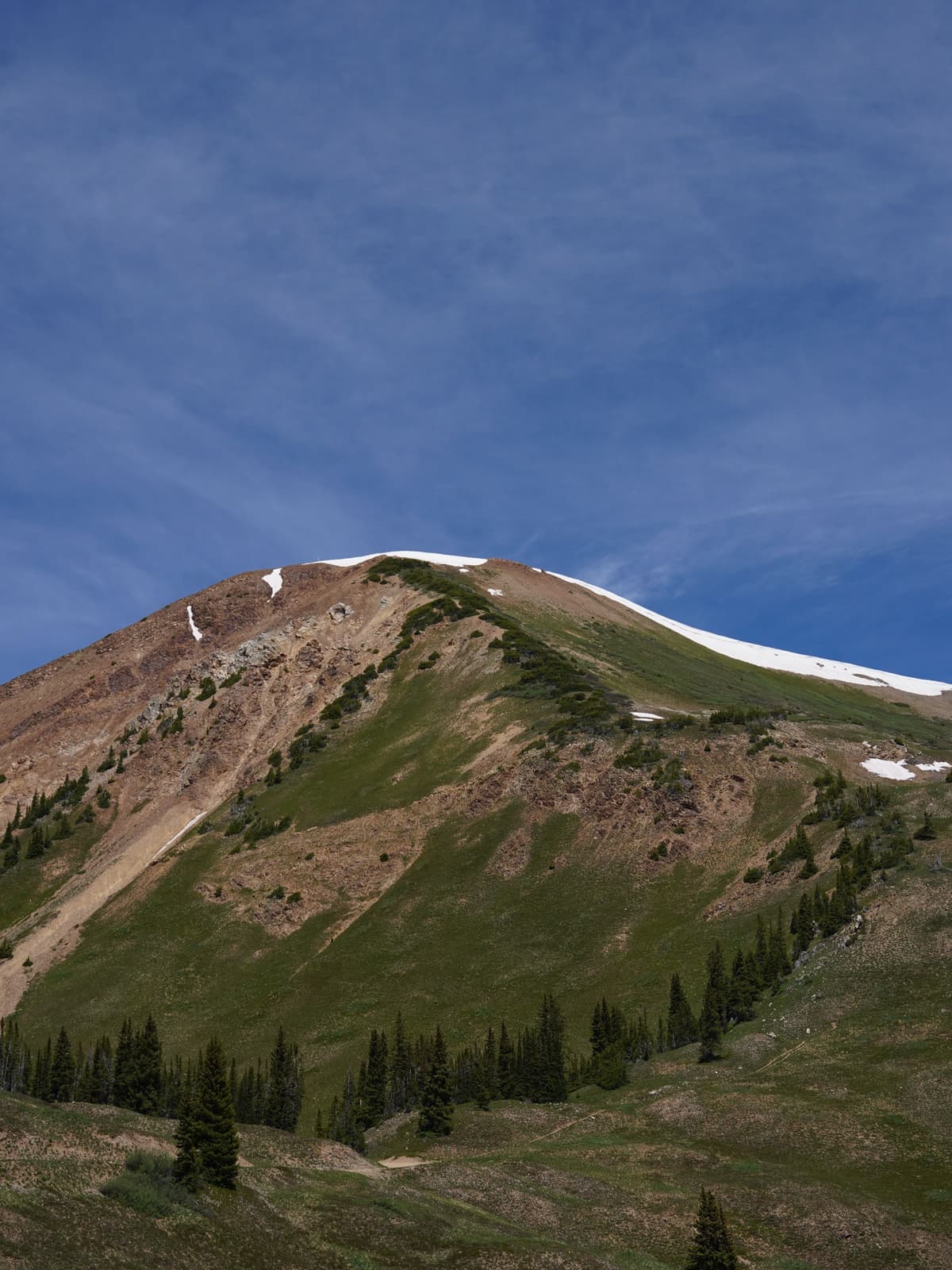 A mountain with patches of snow near its peak, green and brown slopes, and evergreen trees under a blue sky.