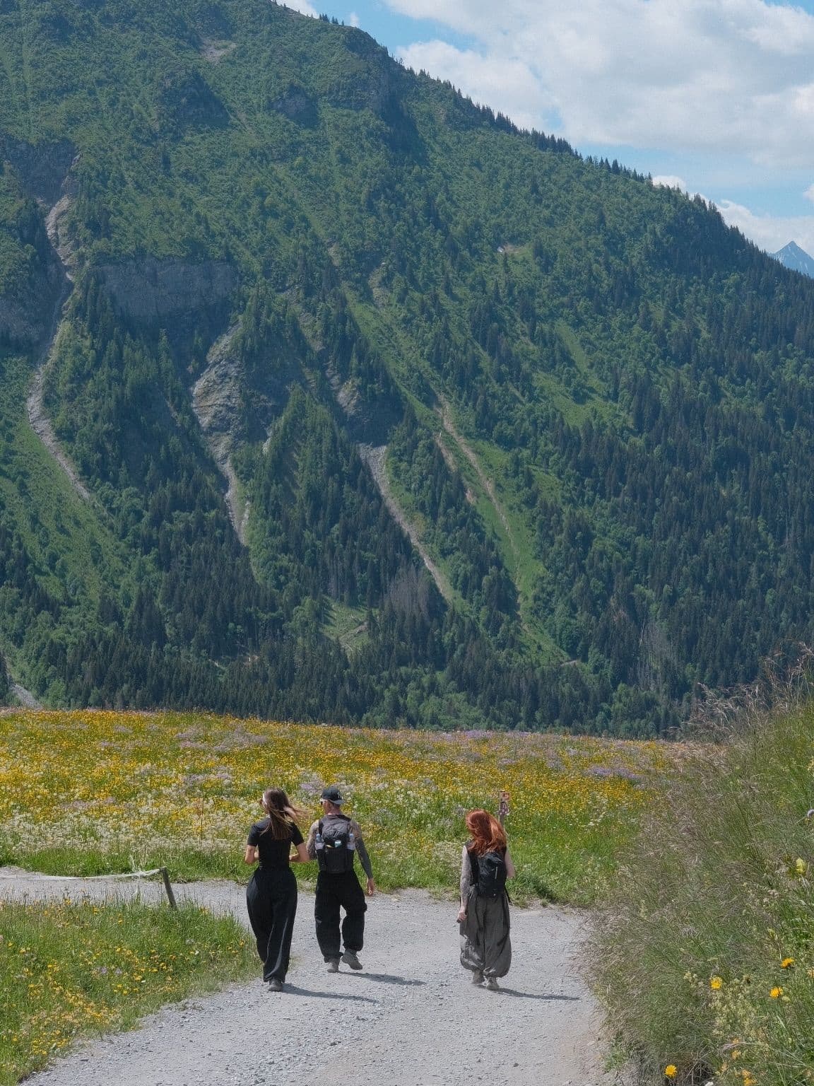 Three people walk on a gravel path through a field of wildflowers, with a steep forested mountain in the background.