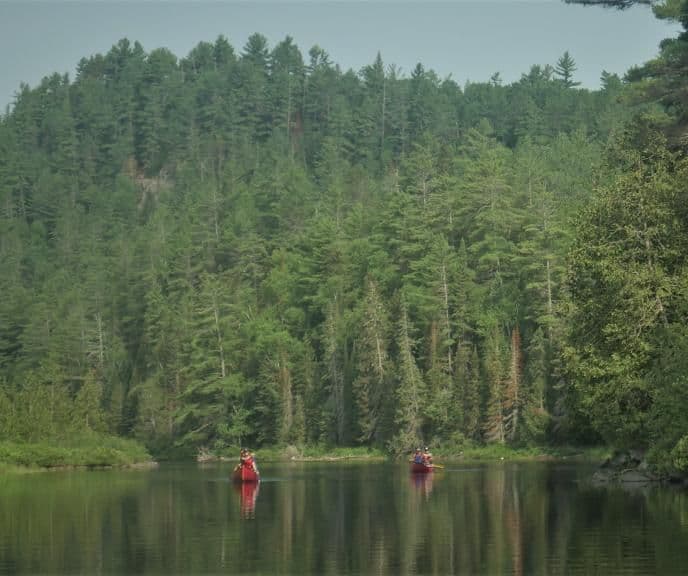 Two red canoes with paddlers on a calm lake, surrounded by a dense evergreen forest.