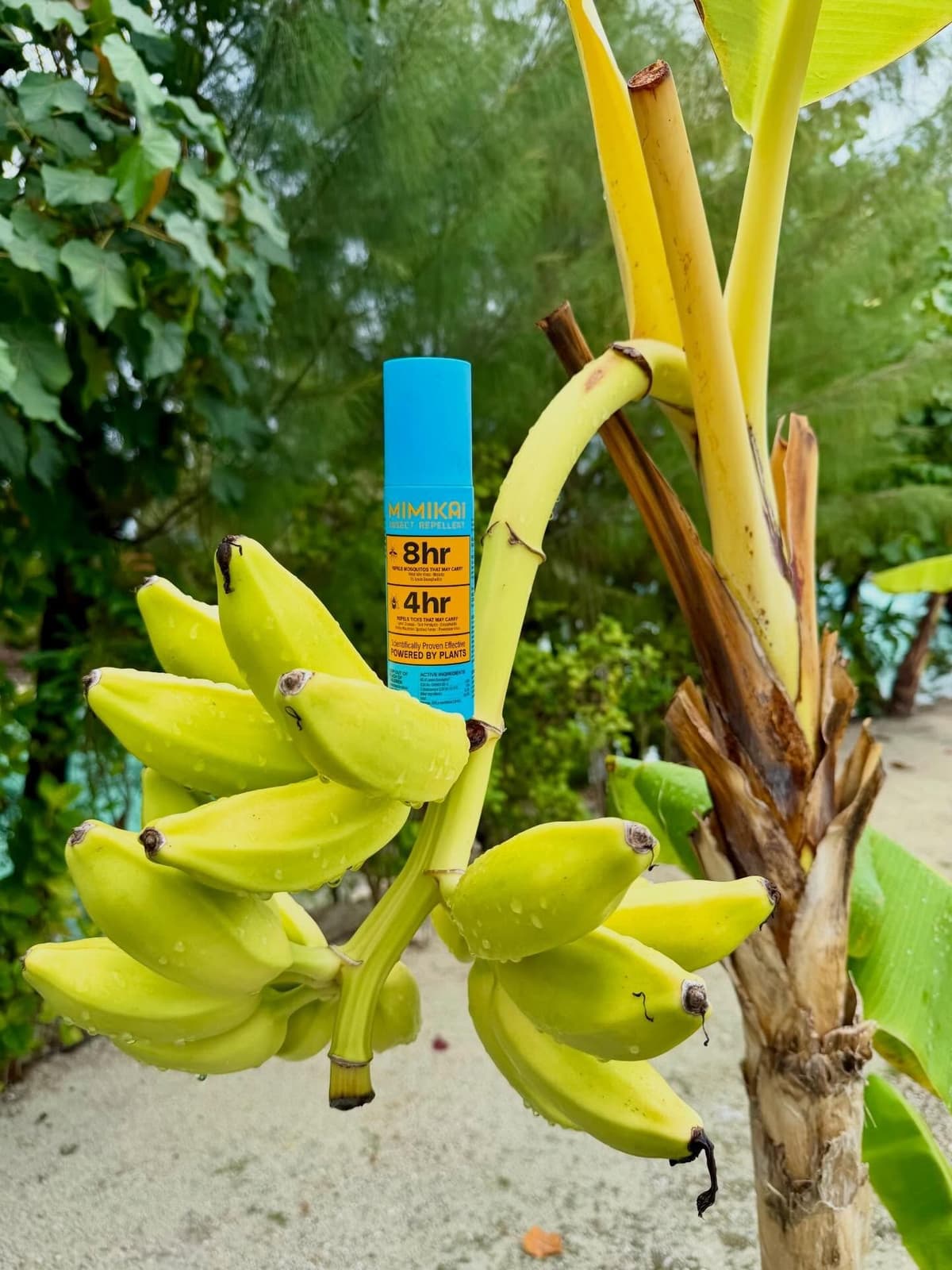 A blue spray bottle of KIMIKAI Insect Repellent is nestled among a bunch of green, unripe bananas on a banana tree in a tropical setting.