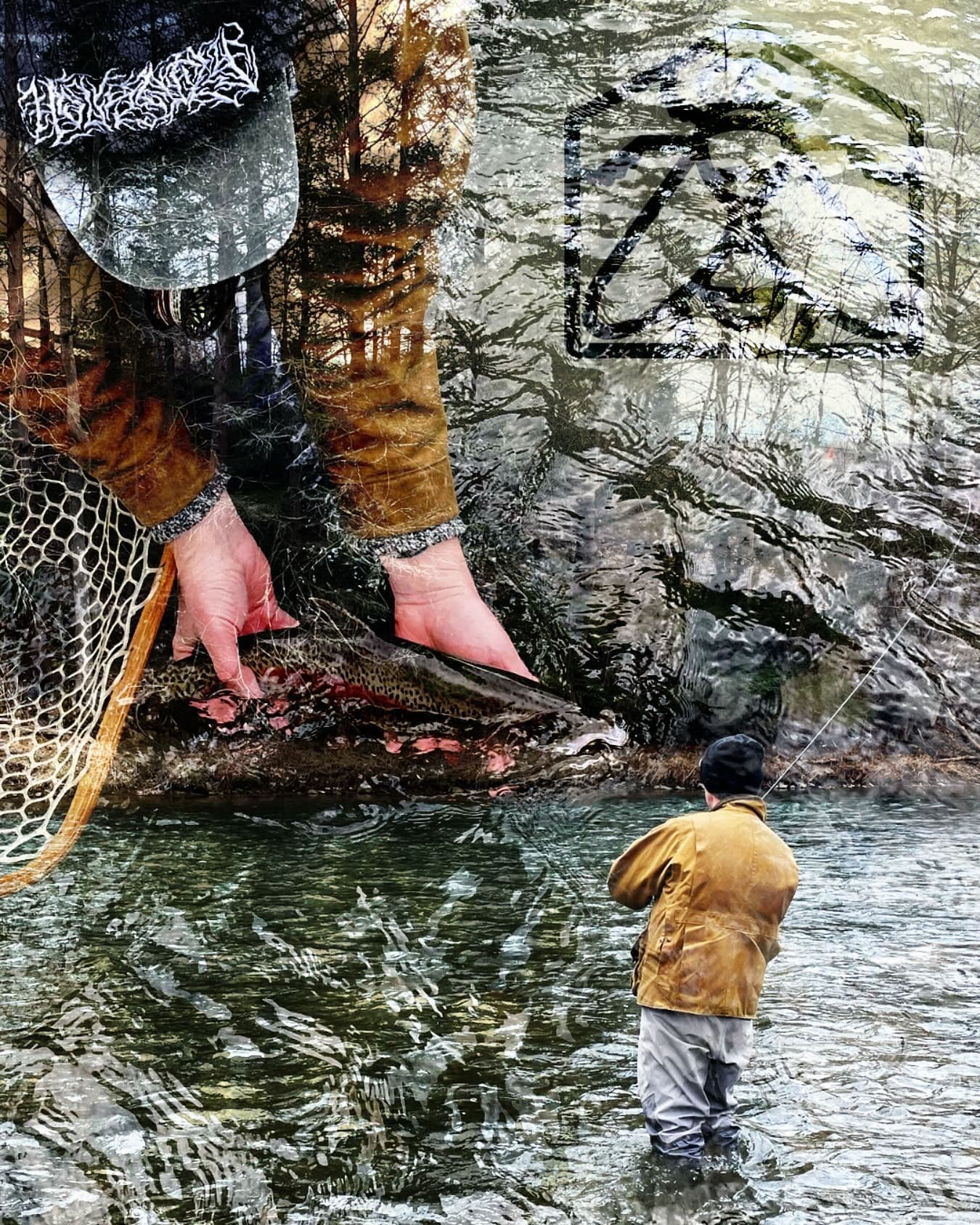 Housefly Fishing