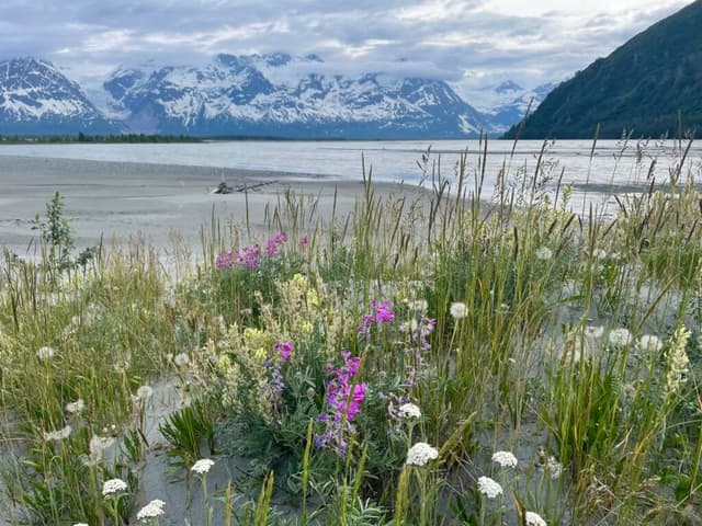 Tatshenshini-Alsek River