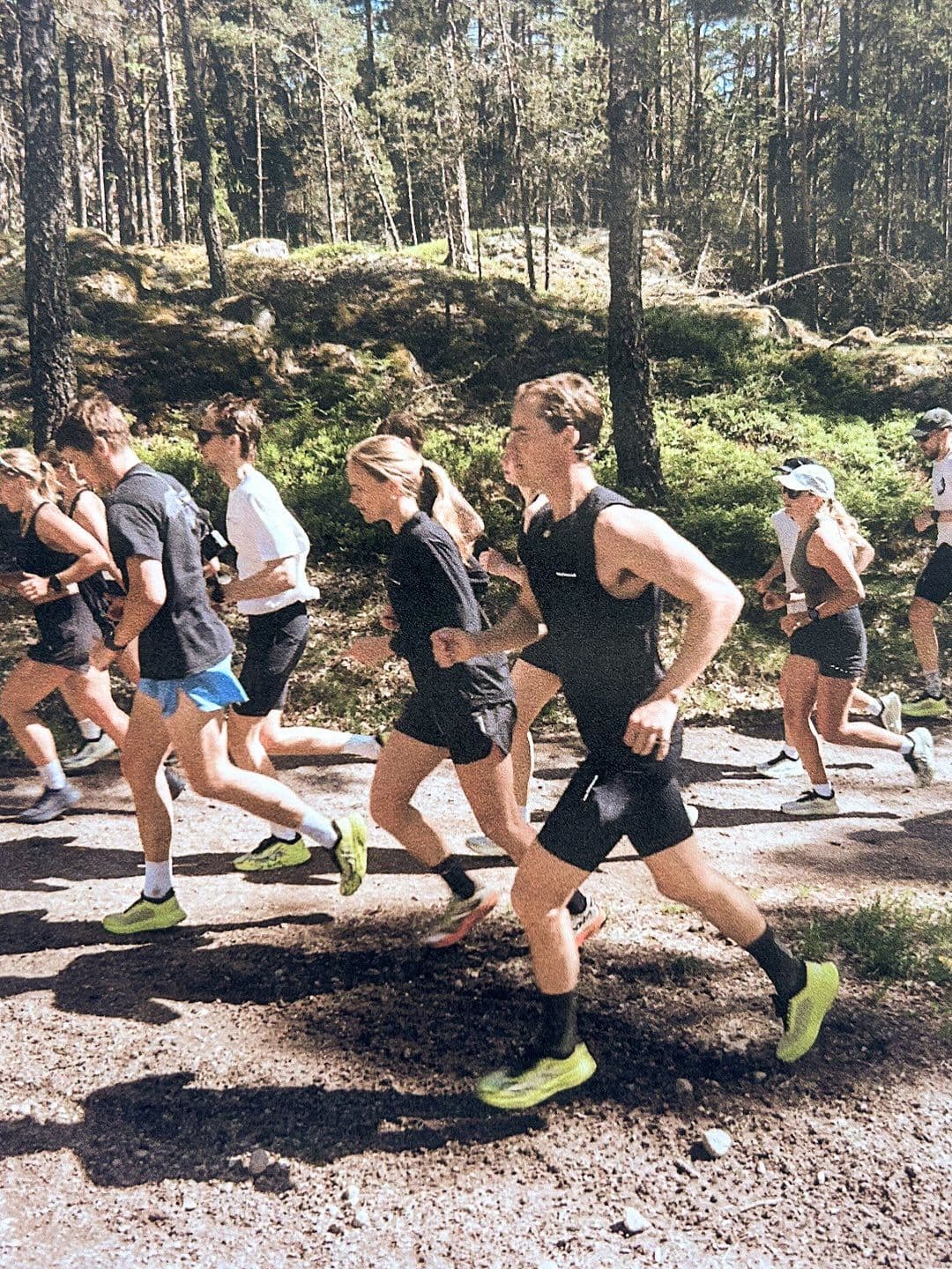 A group of runners on a forest trail.