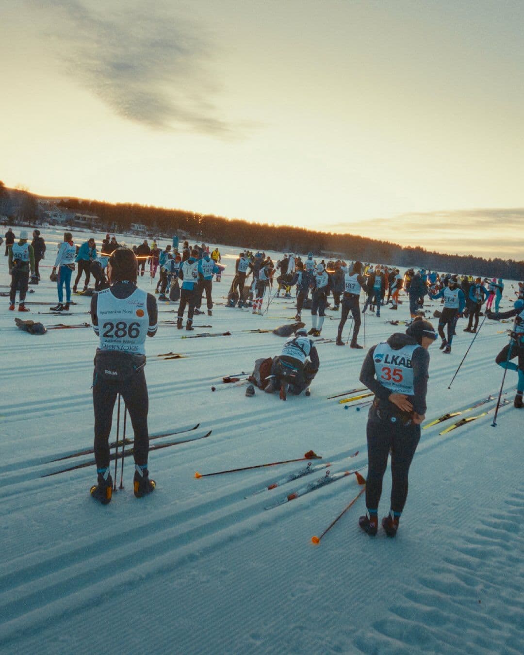 A large group of cross-country skiers with race bibs gather on a snowy course under a golden sunset.
