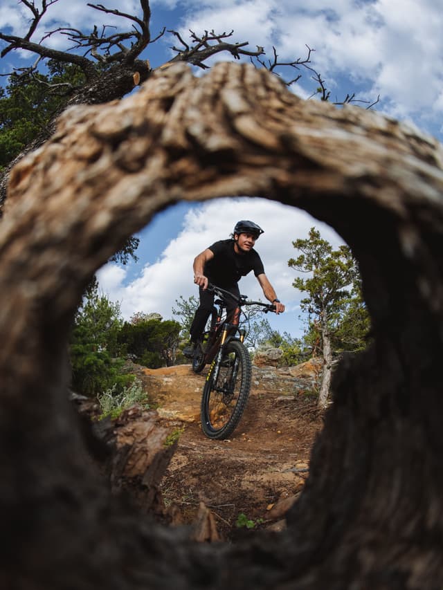 A mountain biker rides a rocky trail, framed by a gnarled hollow tree trunk.