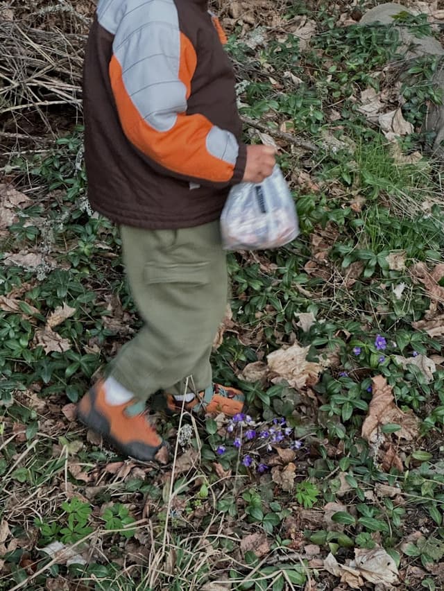 A person in a colorful jacket walks on a forest floor with purple flowers, carrying a plastic bag.