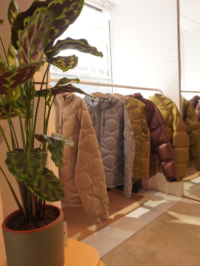 A potted plant beside a rack of colorful puffer jackets in a store.