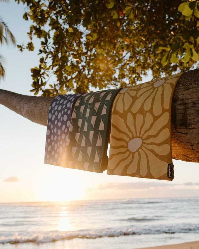 Patterned towels hanging from a tree branch over a sunset beach.