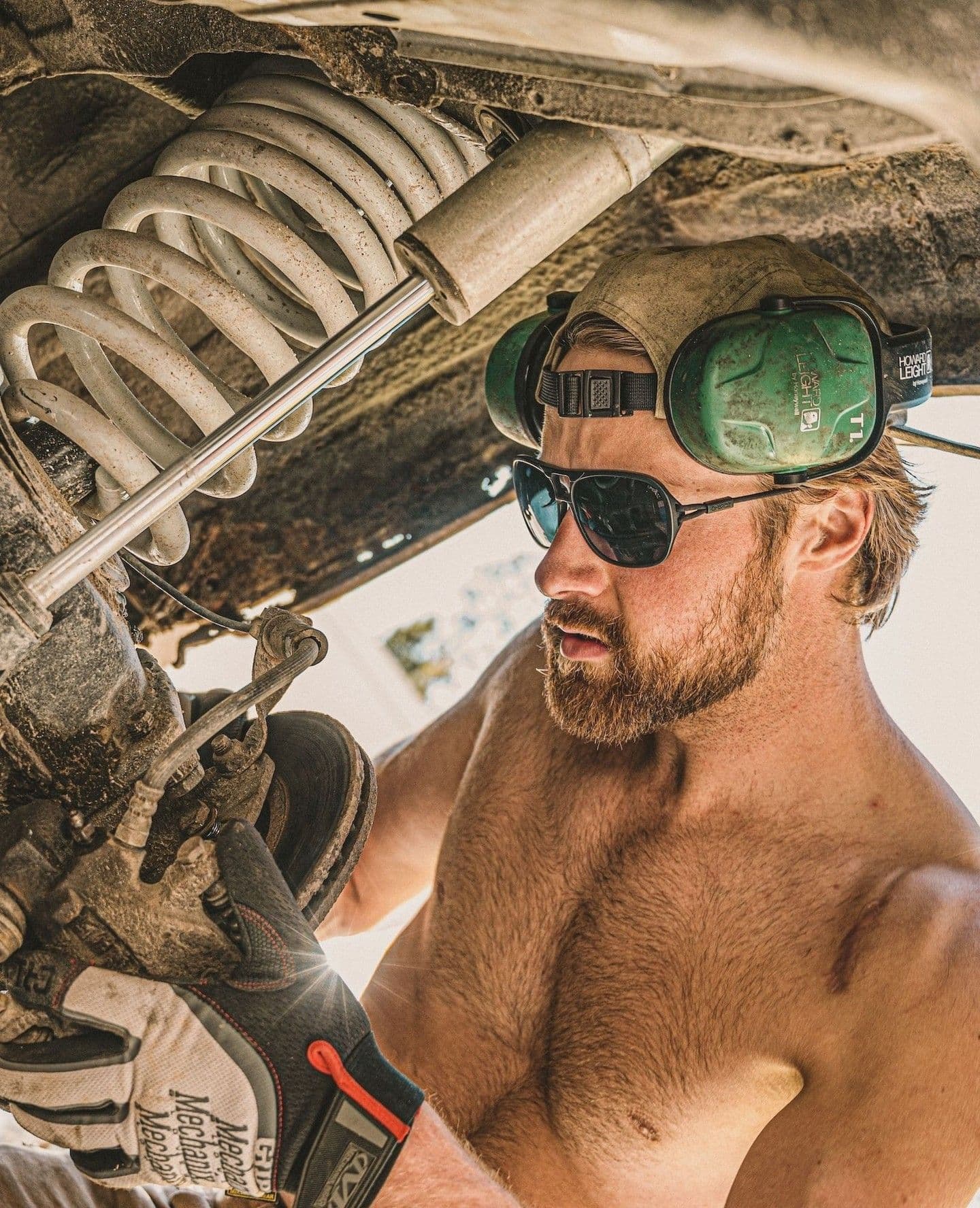 Collection Polarized Collection Image