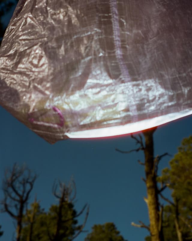 A glowing translucent tarp overhead against a blue sky with trees.